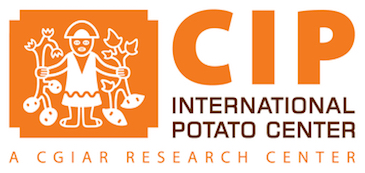 CIP